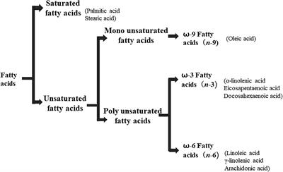 Microbes: A Hidden Treasure of Polyunsaturated Fatty Acids